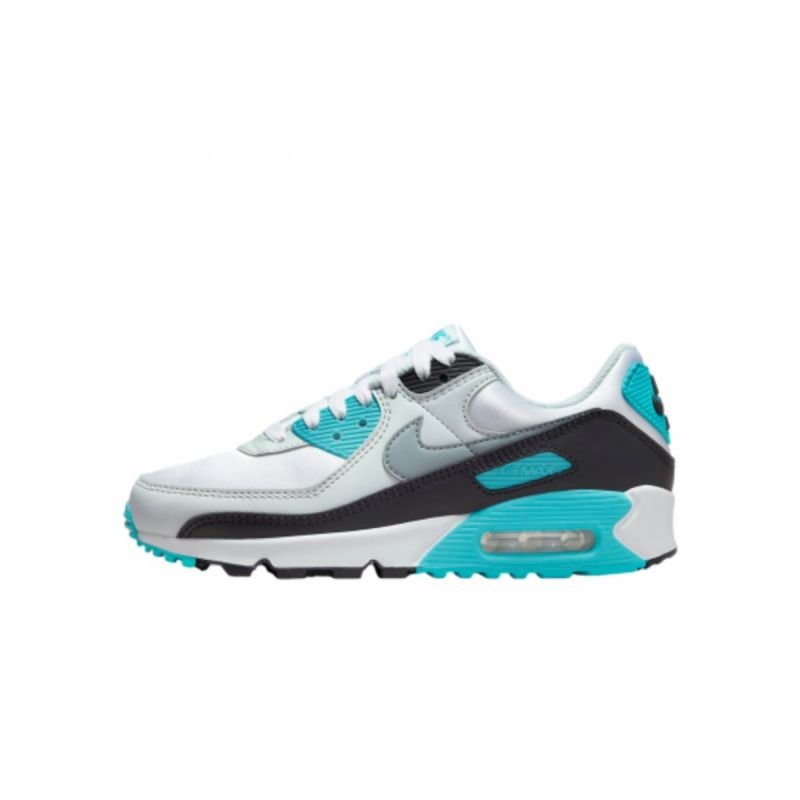 Nike Air Max 90 W FB8570-101 shoes