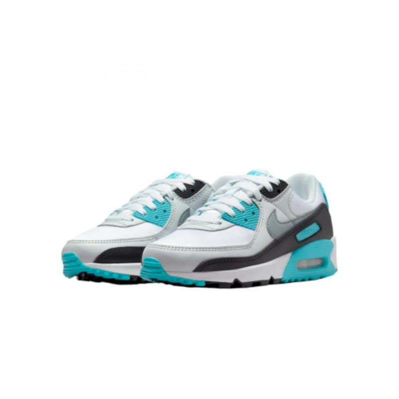 Nike Air Max 90 W FB8570-101 shoes