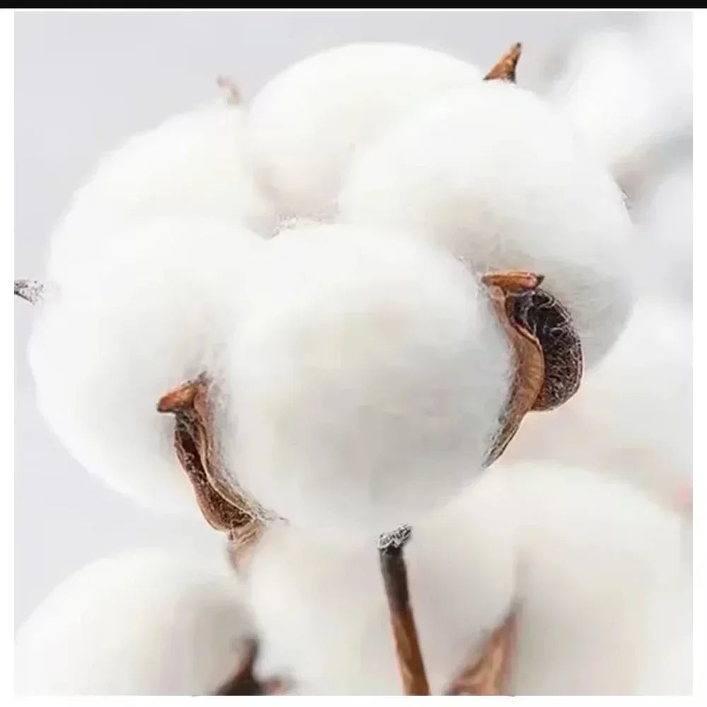 Retro Cotton Unisex Summer T-Shirt